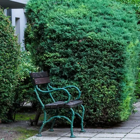Apartamento Viola *